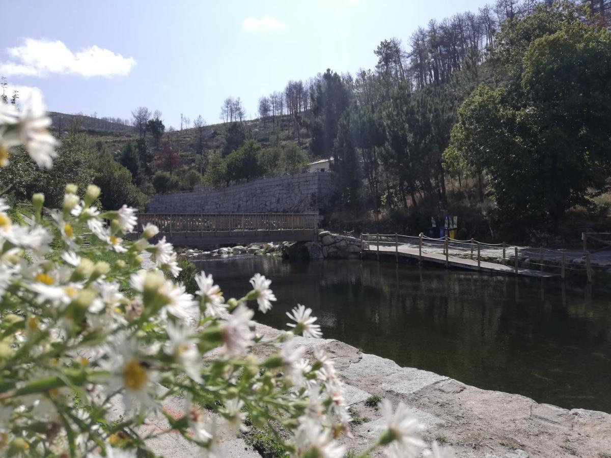 Sambuc'Asa - Serra Da Estrela サブゲイロ エクステリア 写真