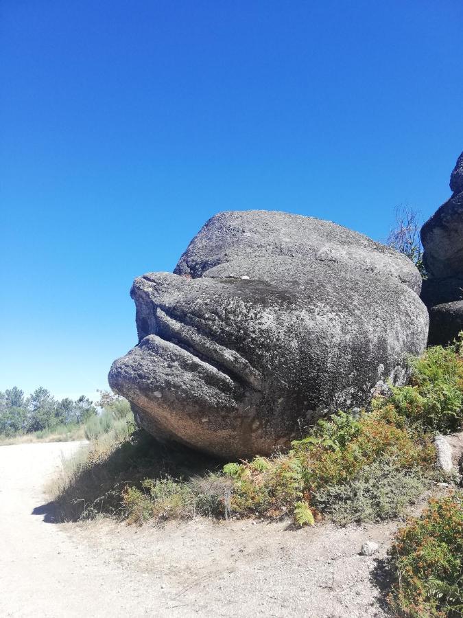 Sambuc'Asa - Serra Da Estrela サブゲイロ エクステリア 写真