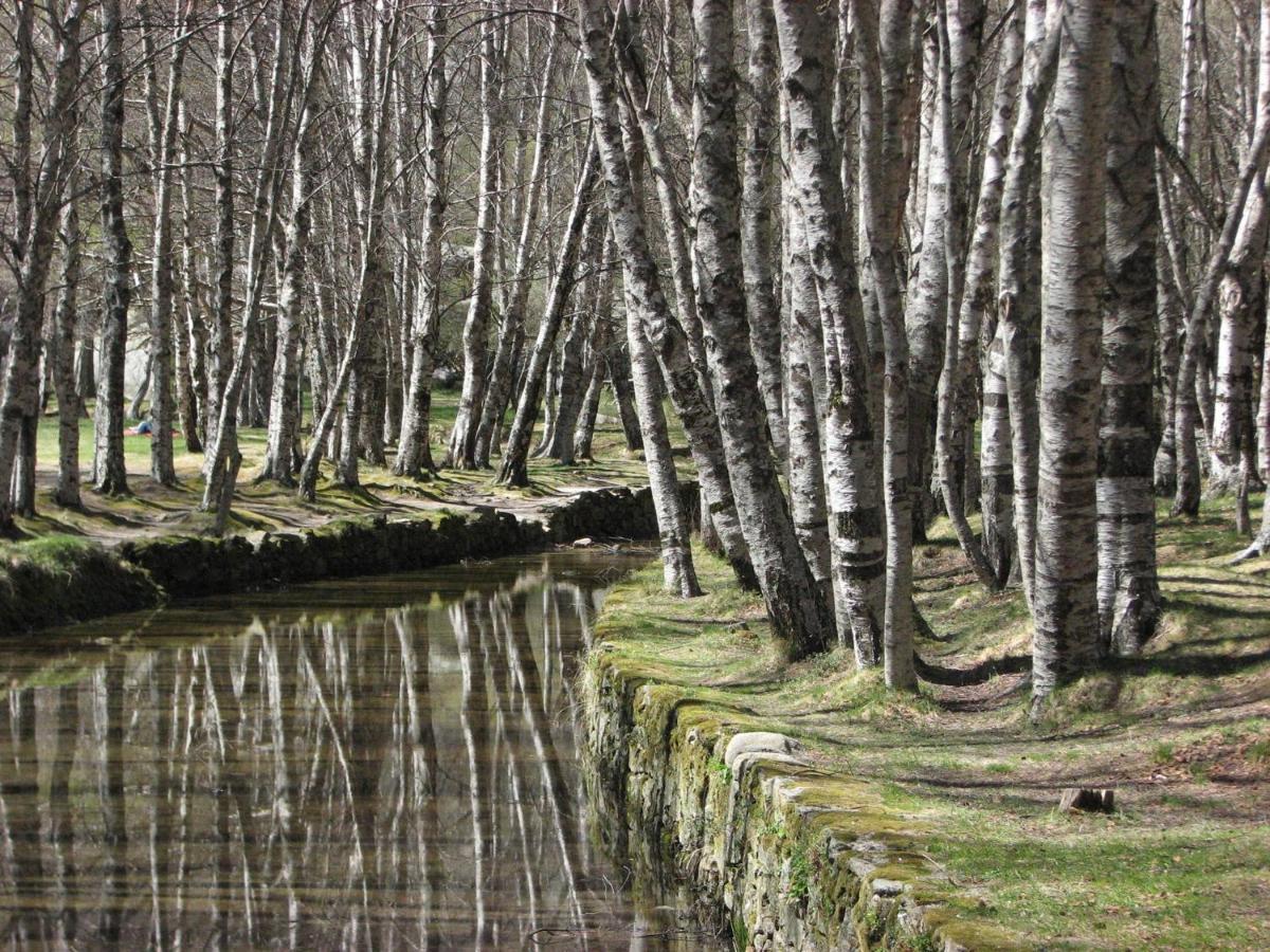 Sambuc'Asa - Serra Da Estrela サブゲイロ エクステリア 写真